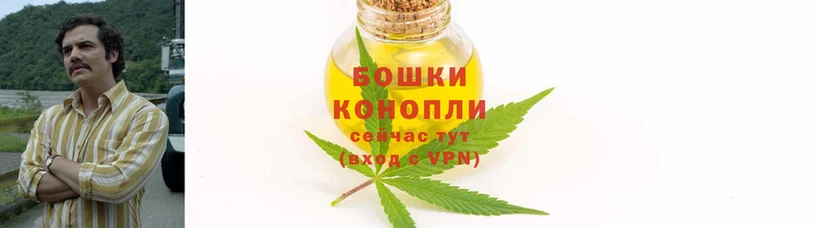 где продают   Выкса  Бошки Шишки семена 